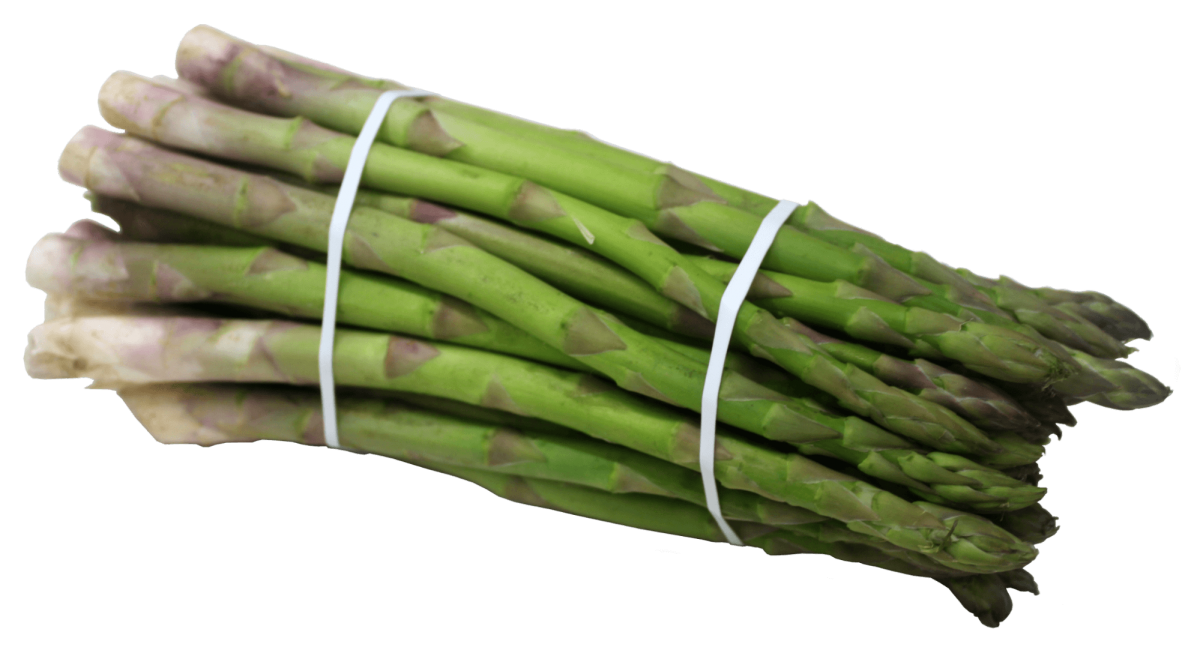 rubber banded asparagus | Felins