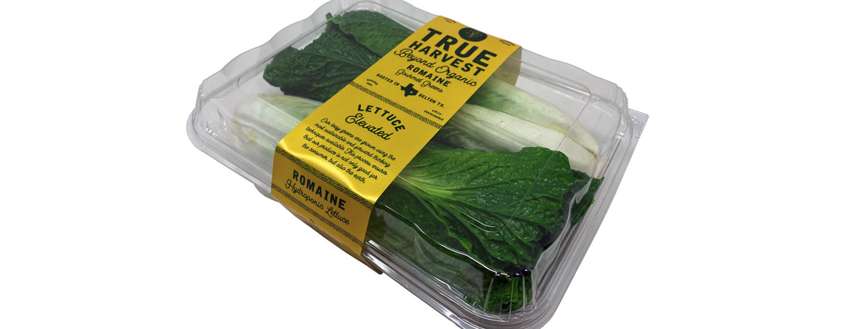 A clamshell package of organic romaine lettuce, banded with a branded paper strip.