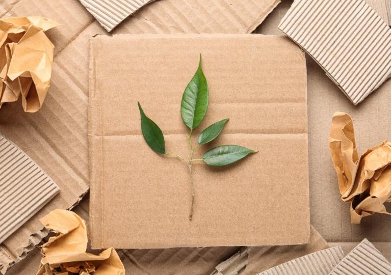 Cardboard box with leaf
