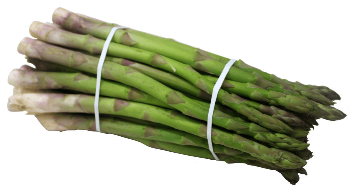 rubber banded asparagus | Felins